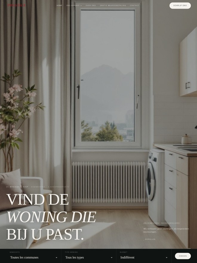 Website